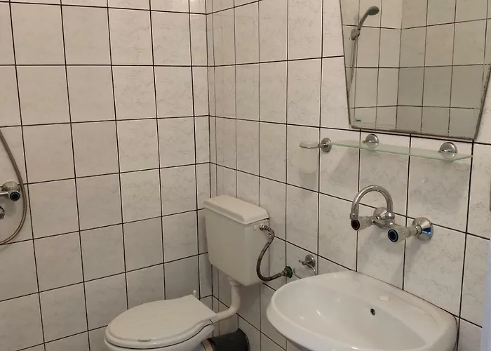 семеен ирина 로제넷츠